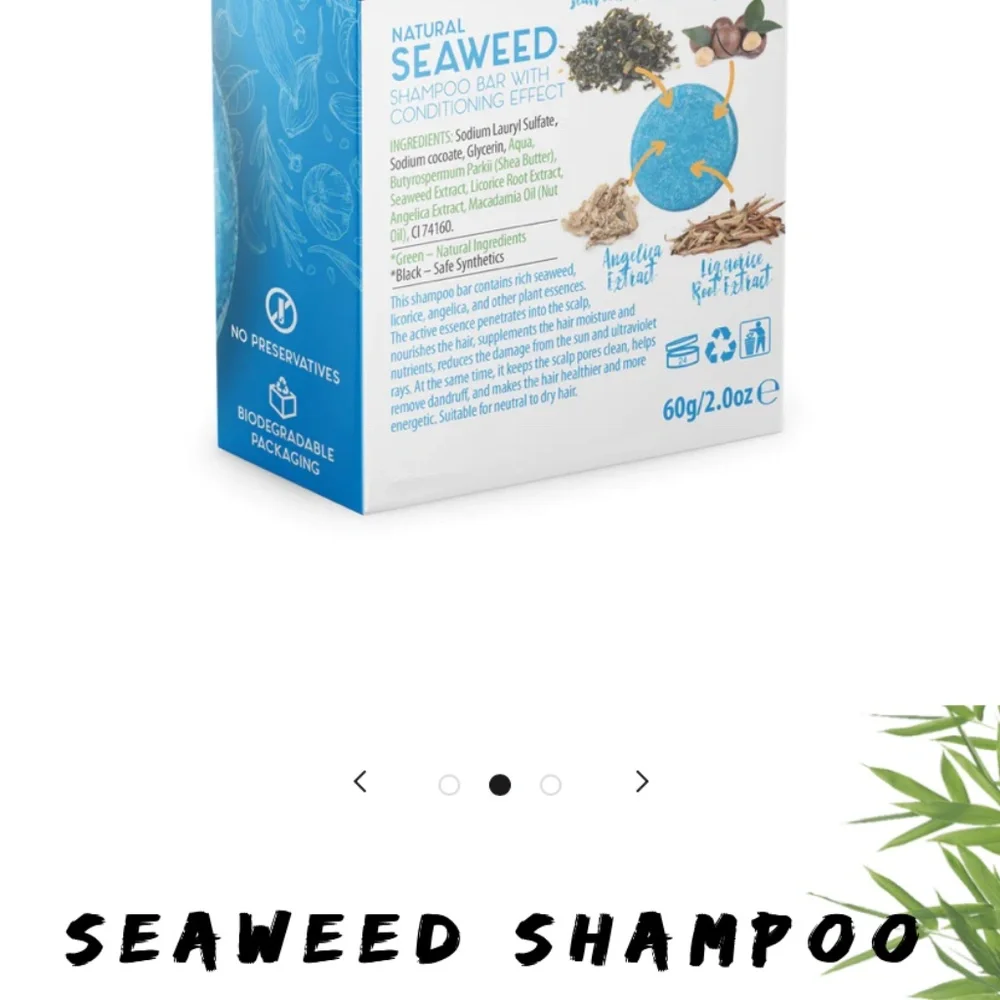 Bamboo earth read website